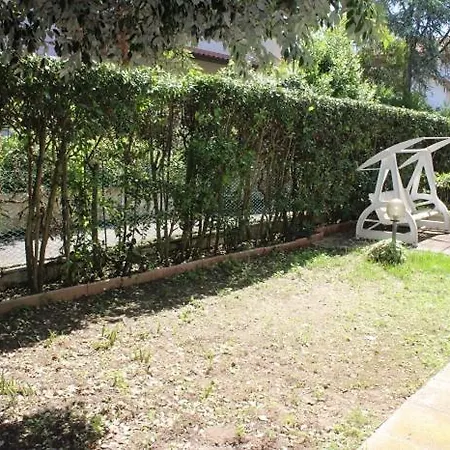 Daire Trilo Mary, Marcelli